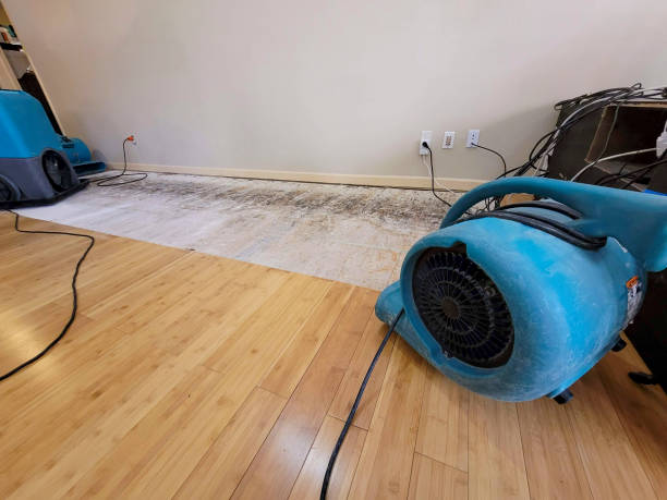 Professional Sewage Cleanup technician working in Dixon, KY